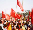 flags